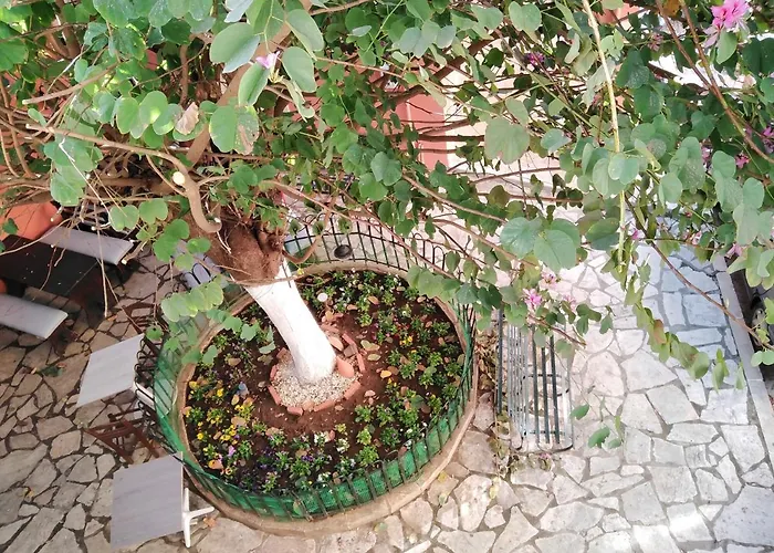 Lilliput Corfu Old Town דירה Corfu (city)